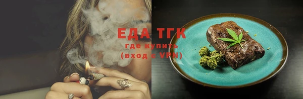 spice Гусев
