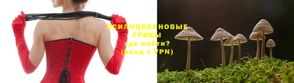 таблы Горняк