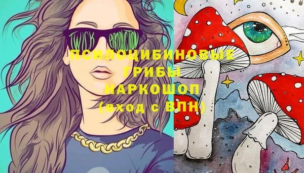 таблы Горняк
