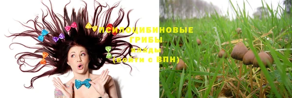 таблы Горняк