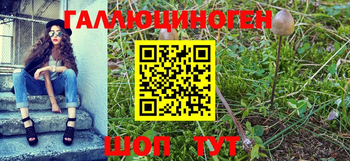 Псилоцибиновые грибы Magic Shrooms Медногорск