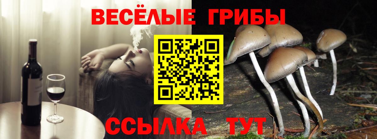 Псилоцибиновые грибы ЛСД  Вход с VPN  Галлюциногенные грибы мицелий  Медногорск 