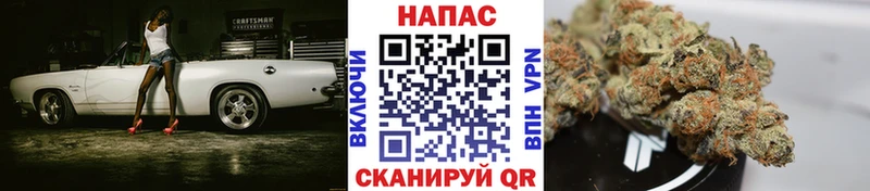 купить закладку  Медногорск  блэк спрут маркетплейс  МАРИХУАНА сатива 